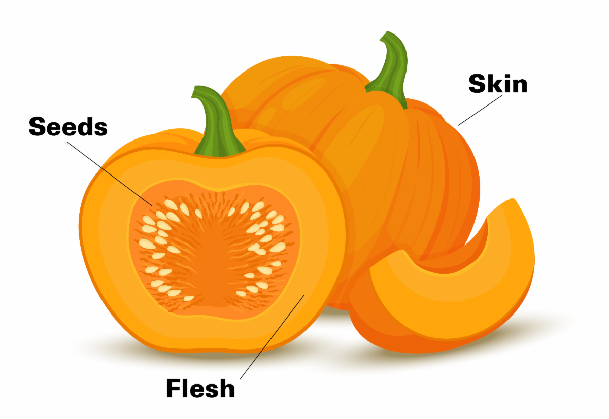 Pumpkin Parts