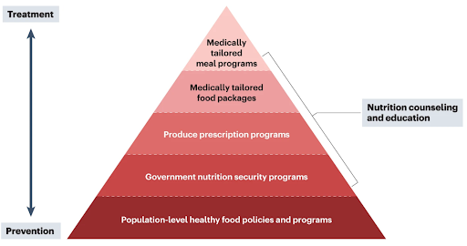 Food is Medicine Pyramid